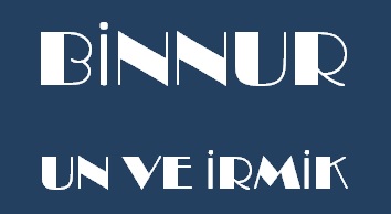 BİNNUR 2 LOGO